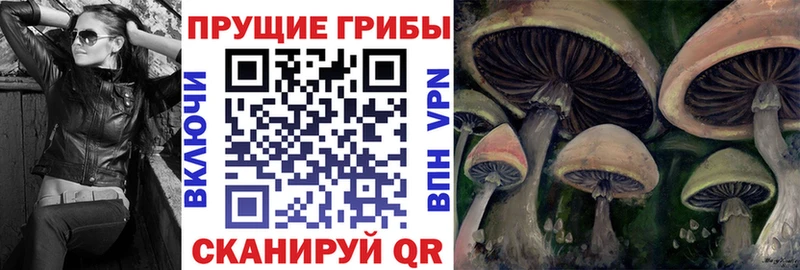 Галлюциногенные грибы MAGIC MUSHROOMS  Казань 